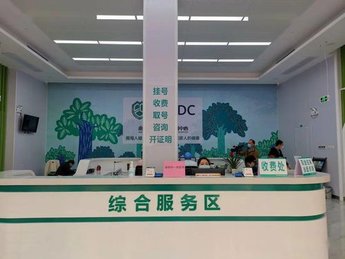 大瀝預防保健門診正式揭牌 夯實基層健康防線，推動全鎮基本公共衛生服務再上新臺階